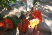 junge Mönche in Kambodscha