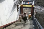 steiler Treppenaufgang auf den Huangshan